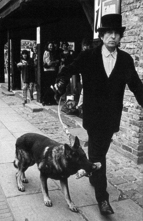 dylan3b8993d192626bc4e42b7ed933d99459