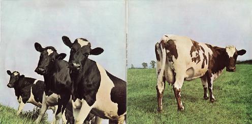 pinkfloydatomheartmotherlp