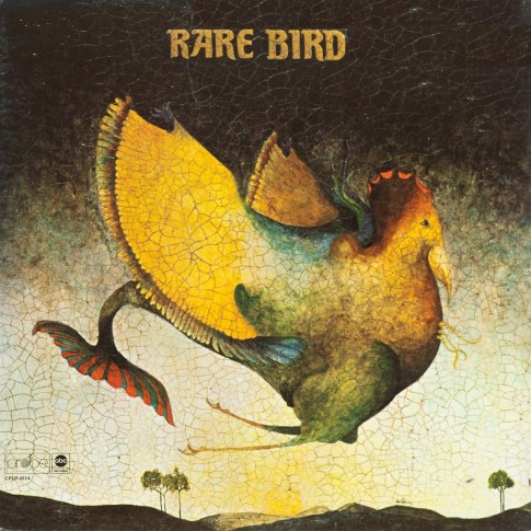 rarebird
